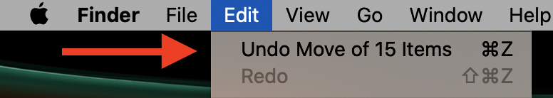 Choose Undo Move in the menu bar